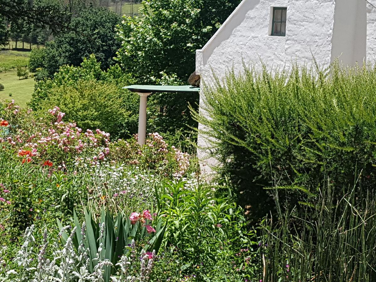 Rosebury Cottage Underberg Extérieur photo